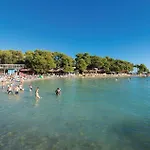 Pet Friendly In Tinj