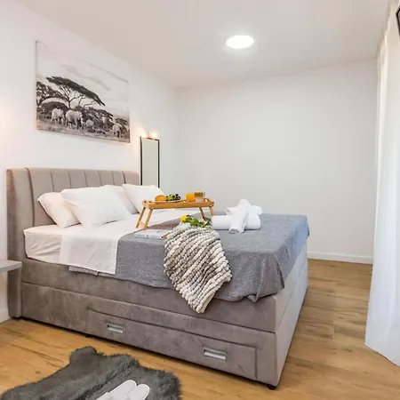 Pet Friendly In Tinj