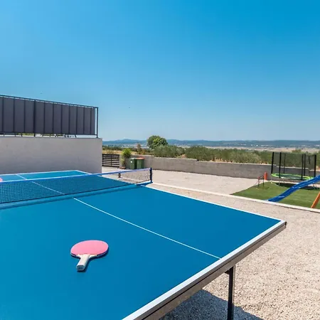 Pet Friendly In Tinj